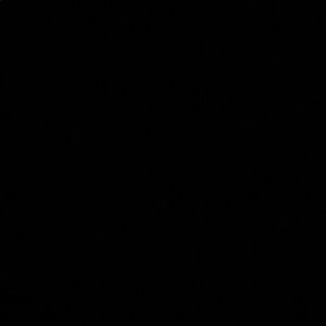 Meet your Posher, Tyrek